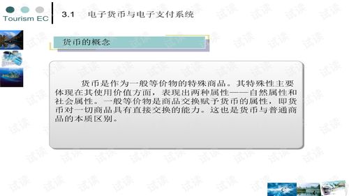 电子商务之旅游电子商务支付